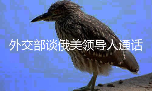 外交部談俄美領(lǐng)導(dǎo)人通話，深度解讀與前景展望