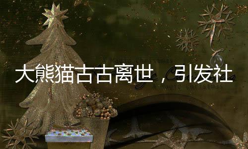 大熊貓古古離世，引發(fā)社會(huì)廣泛哀悼與緬懷