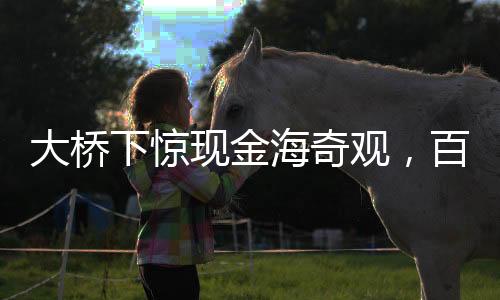 大橋下驚現(xiàn)金海奇觀，百元大鈔散落一地，警方迅速到場(chǎng)調(diào)查