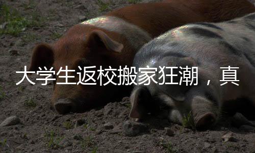 大學生返校搬家狂潮，真的是家都被搬空了？新聞探究其背后的真相與感受