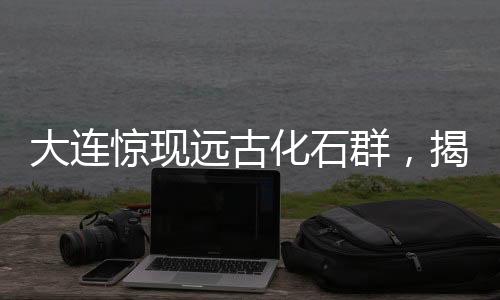 大連驚現(xiàn)遠古化石群，揭秘4億年前生命印記！神奇之處吸引目光，業(yè)界掀起熱潮！