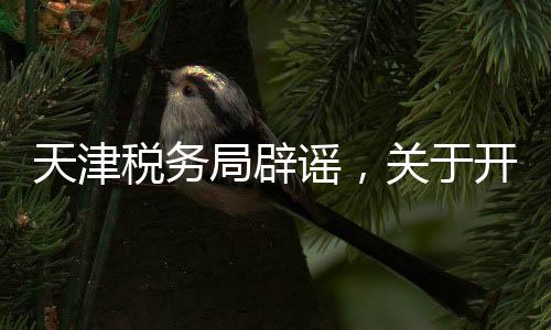 天津稅務(wù)局辟謠，關(guān)于開展稅務(wù)抽查的傳聞，系屬不實