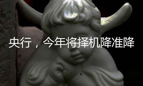央行，今年將擇機(jī)降準(zhǔn)降息，宏觀政策調(diào)整助力經(jīng)濟(jì)穩(wěn)定與發(fā)展