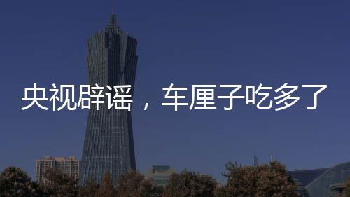 央視辟謠，車厘子吃多了會中毒？一文揭曉真相