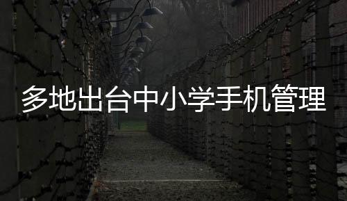 多地出臺中小學(xué)手機(jī)管理禁令，引領(lǐng)新時(shí)代教育健康發(fā)展的新篇章