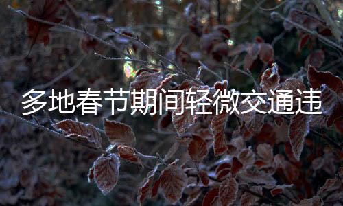 多地春節(jié)期間輕微交通違法不處罰，營造和諧節(jié)日氛圍
