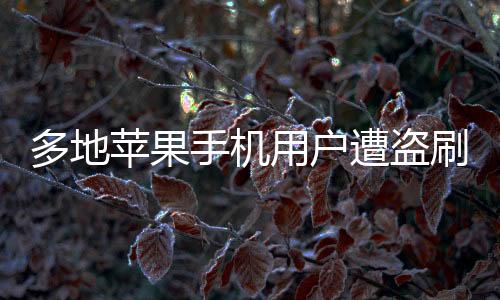 多地蘋(píng)果手機(jī)用戶遭盜刷，安全警鐘再次敲響