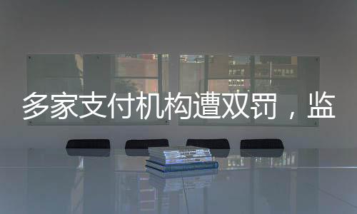 多家支付機構(gòu)遭雙罰，監(jiān)管風(fēng)暴來襲
