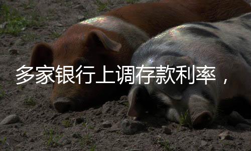 多家銀行上調(diào)存款利率，存款收益提升，10萬一年增值達350元