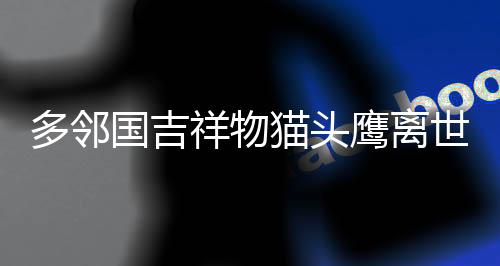多鄰國吉祥物貓頭鷹離世，引發(fā)廣泛哀思