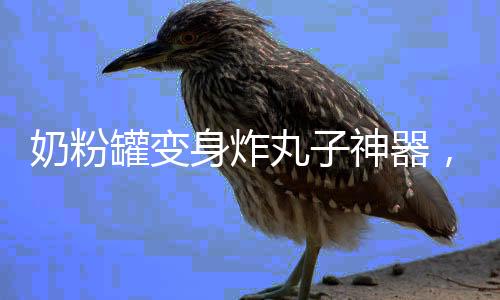 奶粉罐變身炸丸子神器，創(chuàng)意DIY引領(lǐng)環(huán)保生活新潮流