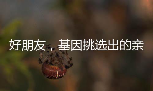 好朋友，基因挑選出的親人