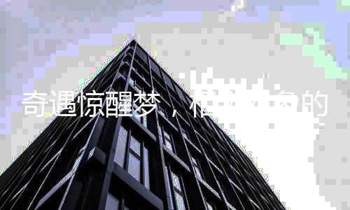 奇遇驚醒夢，相親對象的清晨之約