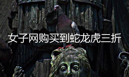 女子網(wǎng)購(gòu)買到蛇龍虎三折疊春聯(lián)，獨(dú)特的節(jié)日氛圍引熱議