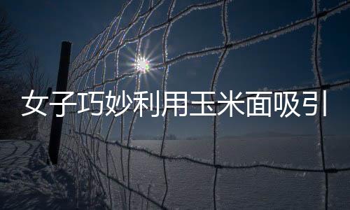 女子巧妙利用玉米面吸引二級保護(hù)動(dòng)物，人與自然和諧共生的美好瞬間