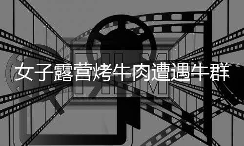 女子露營烤牛肉遭遇牛群，牛肉被吃光事件引起廣泛關(guān)注