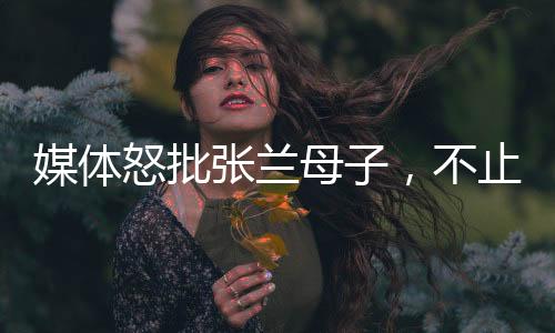 媒體怒批張?zhí)m母子，不止大S被傷害深度解讀事件背后真相