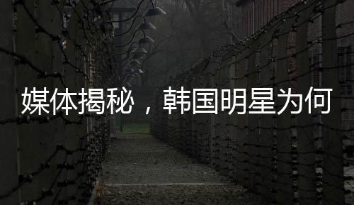 媒體揭秘，韓國明星為何頻頻陷入困擾的漩渦——深度探究背后的原因