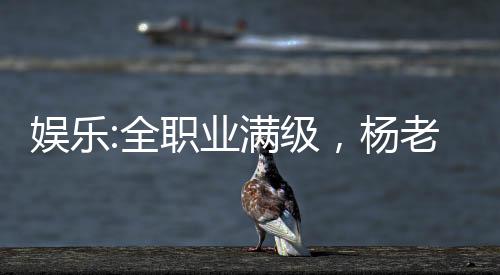 娛樂:全職業(yè)滿級，楊老板求蹭飯
