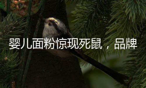 嬰兒面粉驚現(xiàn)死鼠，品牌方緊急要求檢測(cè)鼠齡——事件深度剖析