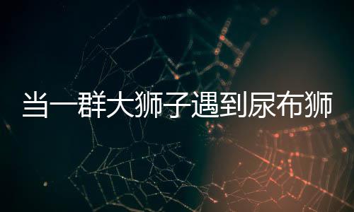 當(dāng)一群大獅子遇到尿布獅，獨(dú)特現(xiàn)象的生態(tài)解讀