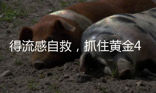得流感自救，抓住黃金48小時，守護(hù)健康之窗