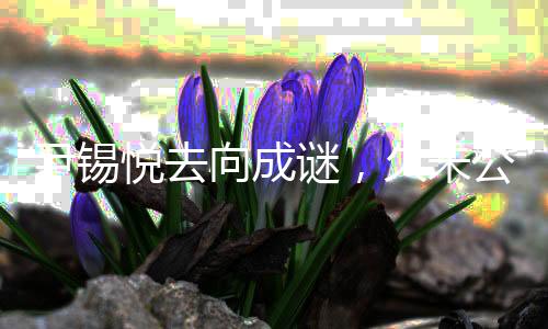 尹錫悅?cè)ハ虺芍i，久未公開露面引發(fā)多方關(guān)注