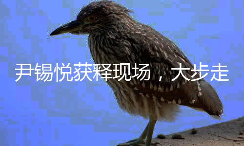 尹錫悅獲釋現(xiàn)場(chǎng)，大步走出拘留所