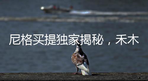 尼格買(mǎi)提獨(dú)家揭秘，禾木村驚現(xiàn)神秘結(jié)界獸，探尋之旅正火熱進(jìn)行中