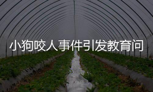 小狗咬人事件引發(fā)教育問題，爺爺采取特殊方式教育小狗