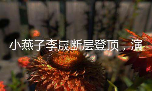 小燕子李晟斷層登頂，演藝之路的璀璨之旅