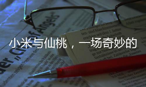 小米與仙桃，一場(chǎng)奇妙的倒字之旅