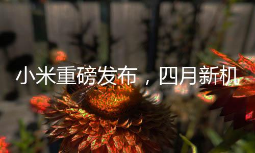 小米重磅發(fā)布，四月新機(jī)型，親民價(jià)格，實(shí)現(xiàn)用戶買得起的夢(mèng)想