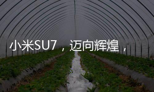小米SU7，邁向輝煌，第15萬臺(tái)交付在即，本周末揭曉