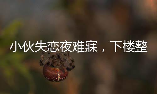 小伙失戀夜難寐，下樓整理電瓶車展現(xiàn)獨(dú)特治愈力