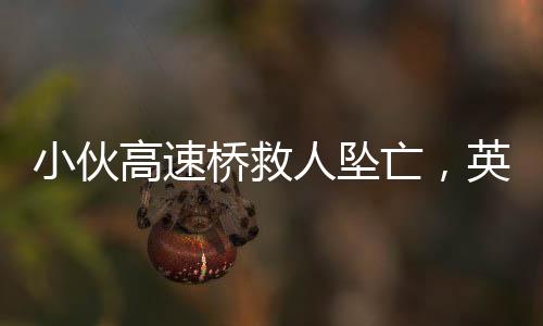 小伙高速橋救人墜亡，英勇善舉背后的悲痛故事