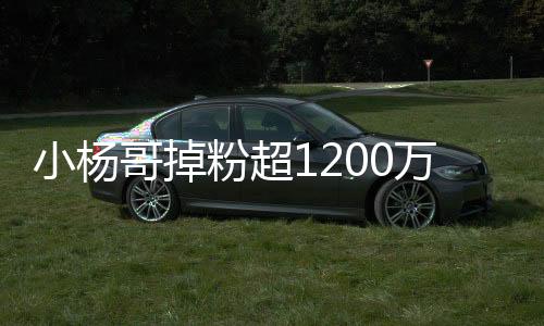 小楊哥掉粉超1200萬，探究背后的原因與挑戰(zhàn)