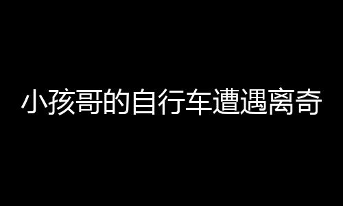 小孩哥的自行車遭遇離奇事件，獅子將其騎走，背后真相待揭曉