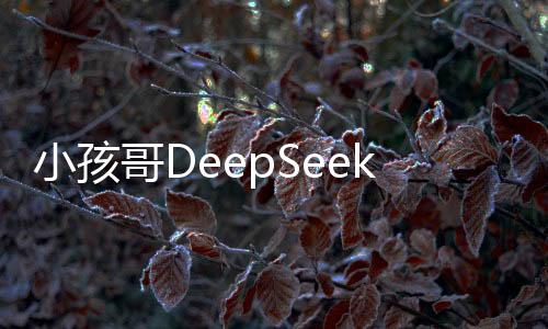 小孩哥DeepSeek三步法學(xué)數(shù)學(xué)