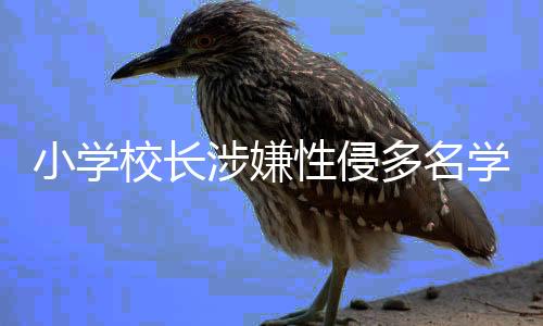 小學(xué)校長涉嫌性侵多名學(xué)生庭審拒不認(rèn)罪事件深度剖析