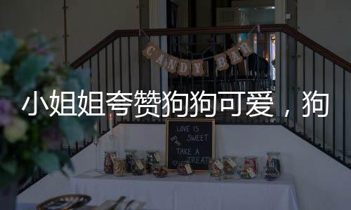 小姐姐夸贊狗狗可愛，狗激動(dòng)碰瓷，人與寵物的溫馨互動(dòng)