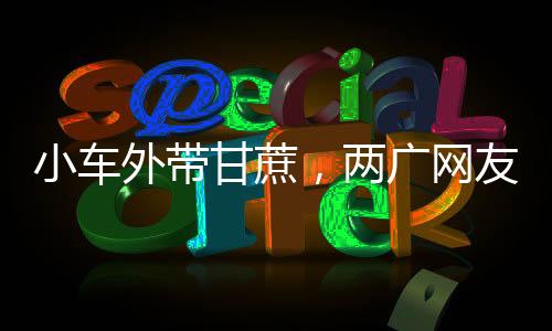小車外帶甘蔗，兩廣網(wǎng)友解讀意頭