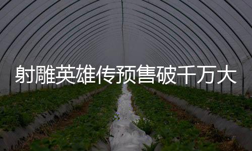 射雕英雄傳預售破千萬大關，再創(chuàng)武俠傳奇！