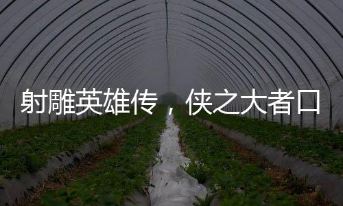 射雕英雄傳，俠之大者口碑評(píng)析