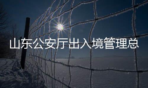 山東公安廳出入境管理總隊(duì)總隊(duì)長被查，深入解讀案件始末