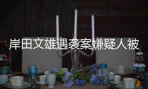 岸田文雄遇襲案嫌疑人被判刑十年，深度解讀事件內幕與影響