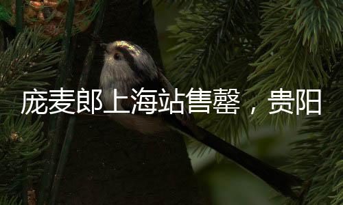 龐麥郎上海站售罄，貴陽站觀眾寥寥，一線藝人的起伏之路