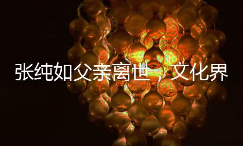 張純如父親離世，文化界痛失一顆璀璨之星