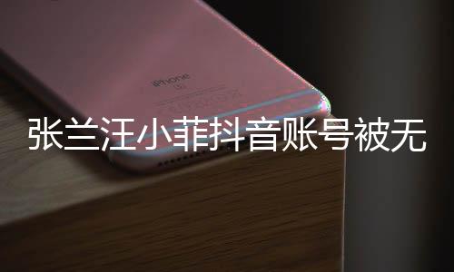 張?zhí)m汪小菲抖音賬號被無限期封禁，引發(fā)廣泛關(guān)注與熱議