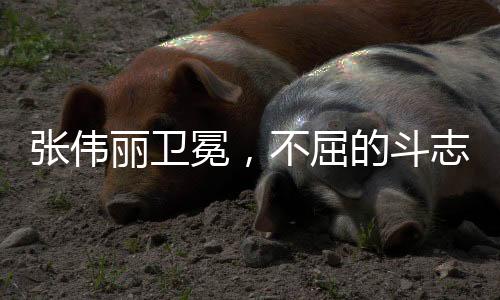 張偉麗衛(wèi)冕，不屈的斗志再度閃耀賽場(chǎng)之光